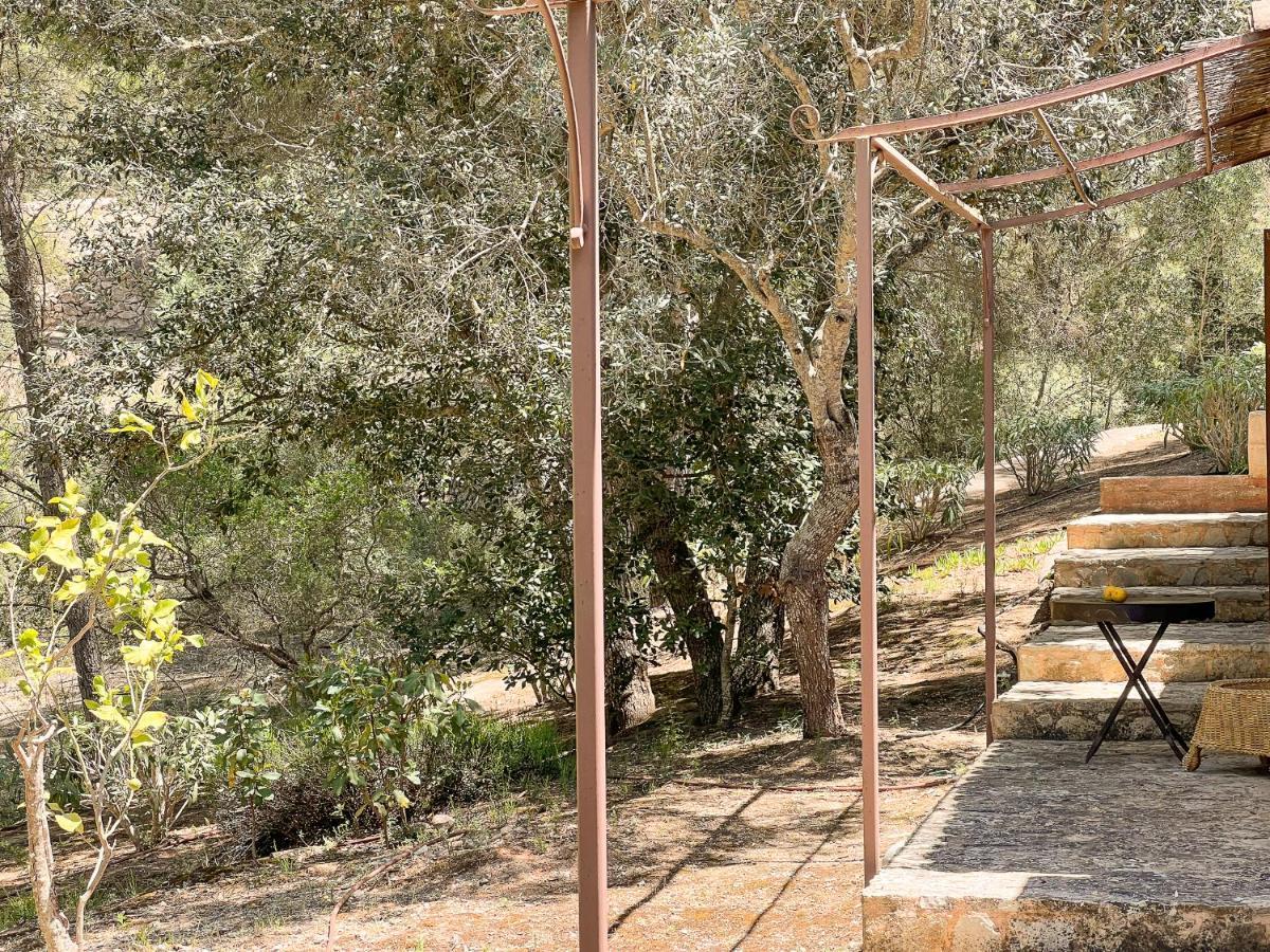 Finca Binifarda Dor فيلانيتكس المظهر الخارجي الصورة